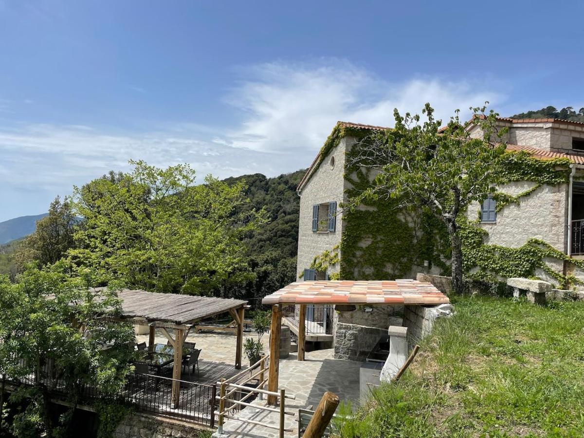 Sud-Corse Bavella Location Montagne Et Mer Sorbollano Exteriör bild