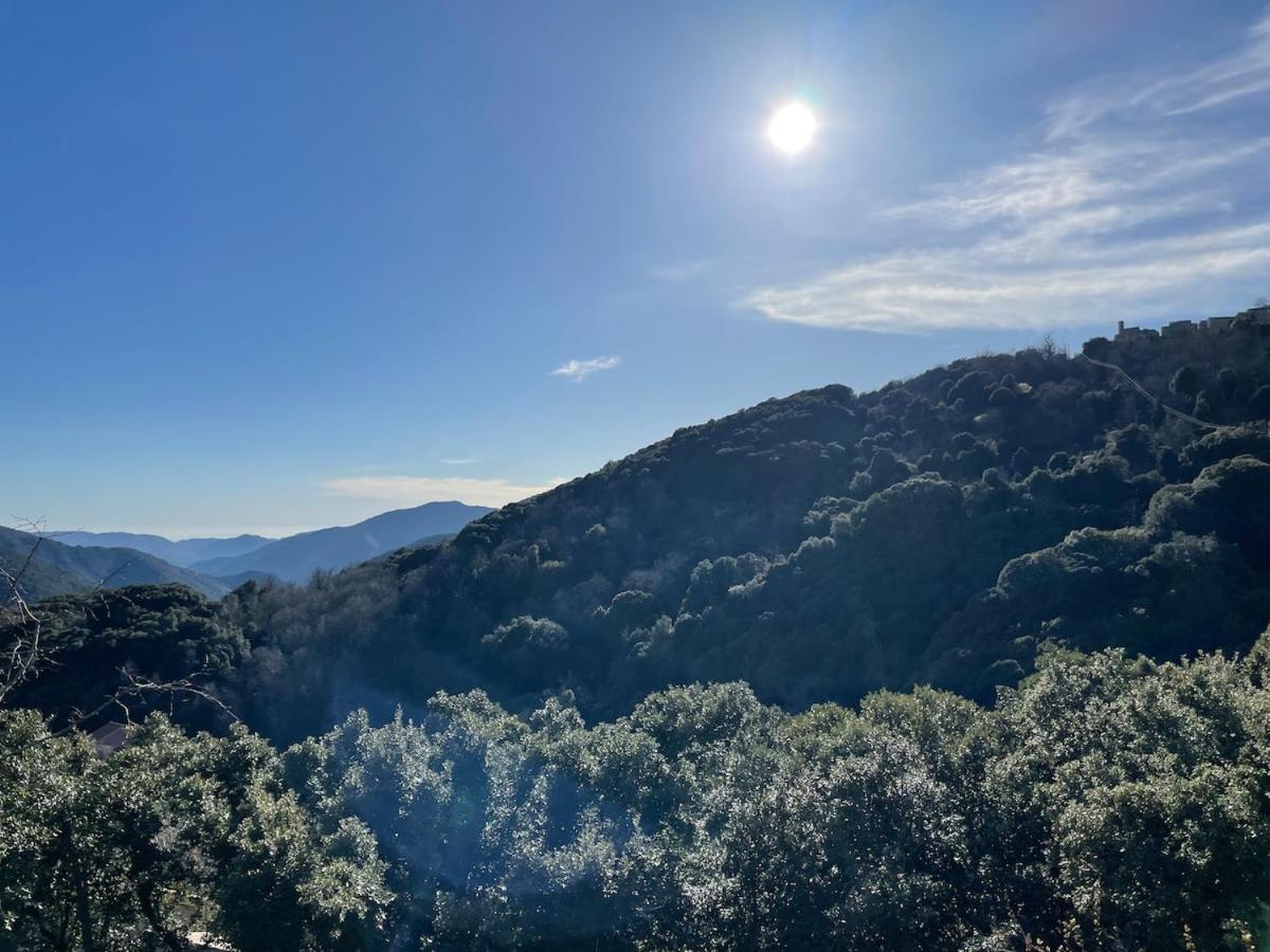 Sud-Corse Bavella Location Montagne Et Mer Sorbollano Exteriör bild